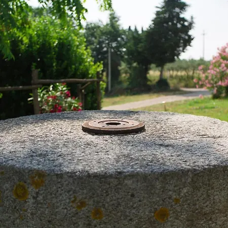 Agroturismo Tenuta Il Corno San Casciano in Val di Pesa